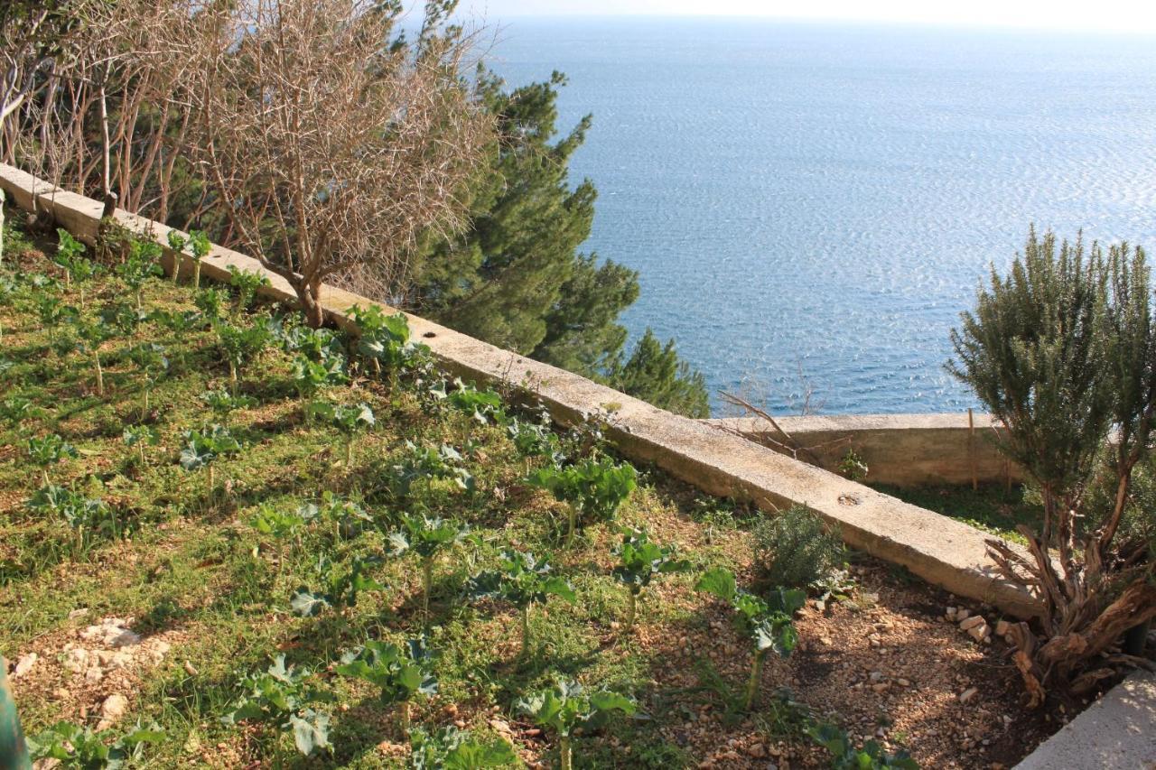 Apartments By The Sea Marusici, Omis - 8632 Mimice Bagian luar foto