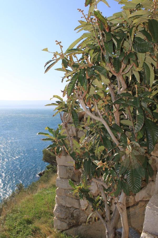 Apartments By The Sea Marusici, Omis - 8632 Mimice Bagian luar foto